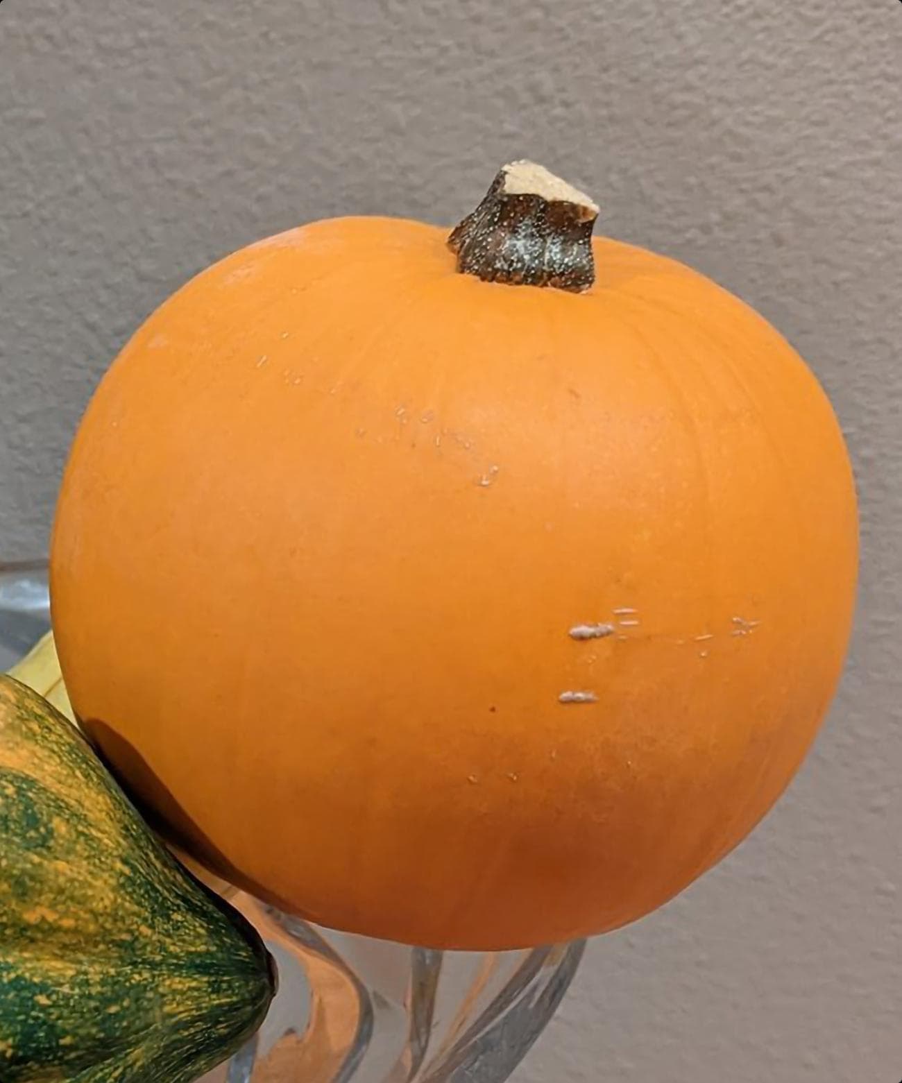 Google Pixel 7 Pro Sample - Galaxy S23 Ultra: Τα πρώτα δείγματα φωτογραφίας δίπλα στο S22 και στο Pixel 7 Pro