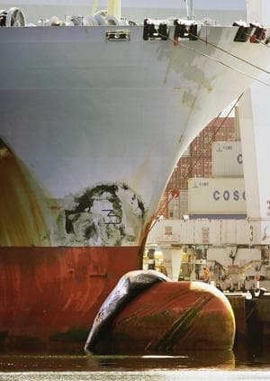 NEWS 810209818 AR 0 0 - Πώς συνδέεται ο αυξημένος θάνατος των φαλαινών με τις online αγορές μας;