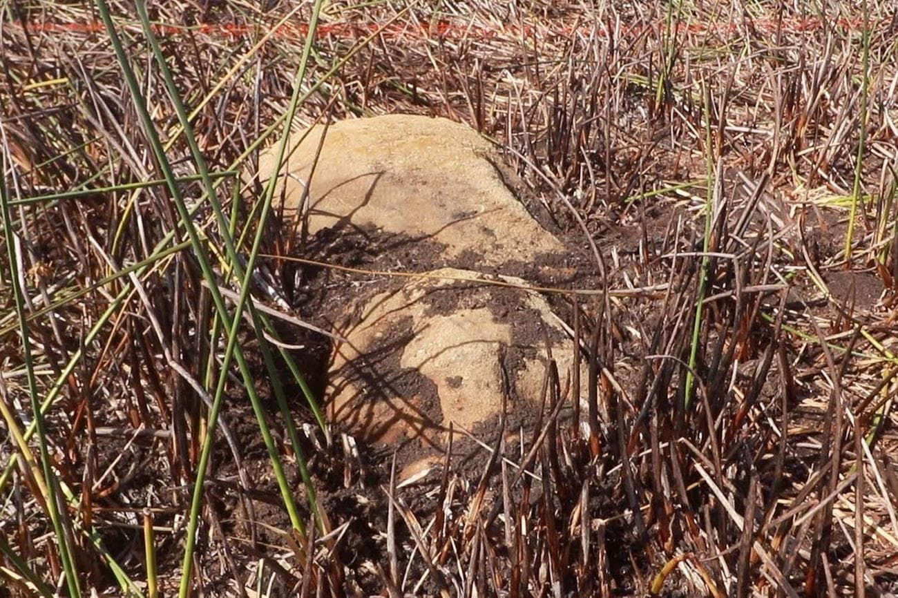 SEI 146523904 - Αποκαλύφθηκε κρυμμένο άγαλμα στο Νησί του Πάσχα (ΕΙΚΟΝΕΣ+ΒΙΝΤΕΟ)