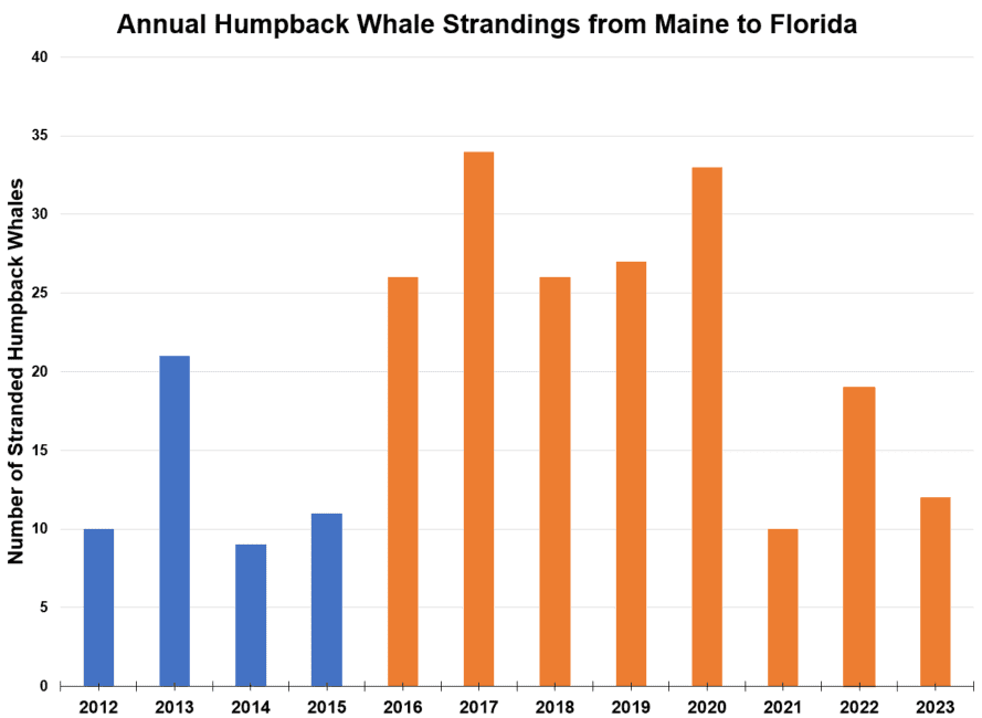 Screenshot (190) - Πώς συνδέεται ο αυξημένος θάνατος των φαλαινών με τις online αγορές μας;