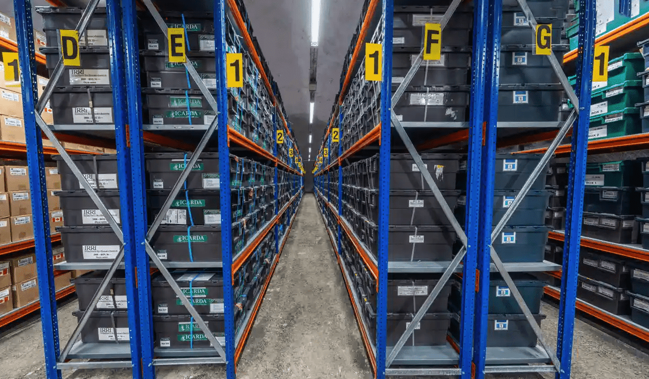 Screenshot 2023 03 13 at 7 54 04 PM - 3D περιήγηση στον παγωμένο «καθεδρικό ναό» της ανθρωπότητας