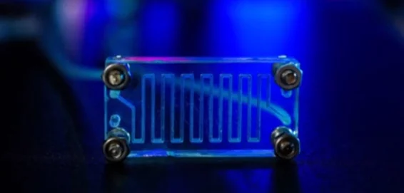 chip vagina - Σε τσιπ με κύτταρα κόλπου οι δοκιμές νέων θεραπειών