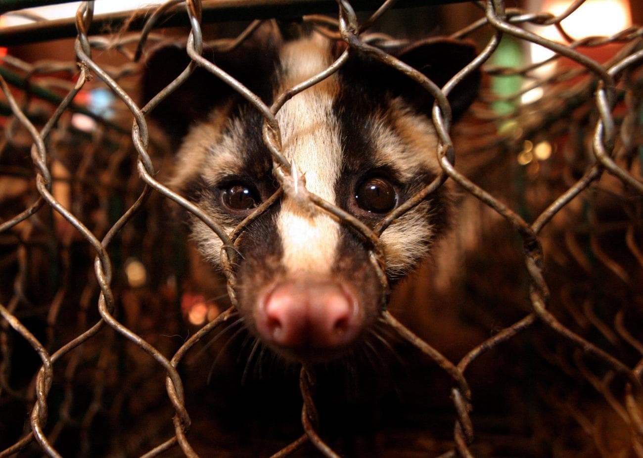 h0484333 - Στο φως κρίσιμα δεδομένα που απέκρυψε η Κίνα για την προέλευση της πανδημίας – Οργή στον ΠΟΥ