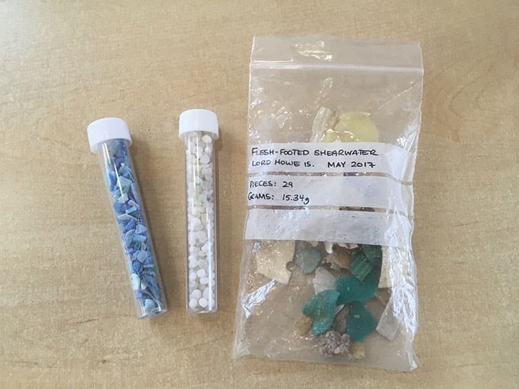 plastic from birds two column.jpg.thumb.768.768 - Plasticosis: Η πρώτη ασθένεια που προκαλείται από πλαστικά