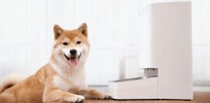 xiaomi 6 300x147 - Xiaomi Smart Pet Food Feeder: Μην αφήσετε κανένα τετράποδο πεινασμένο!