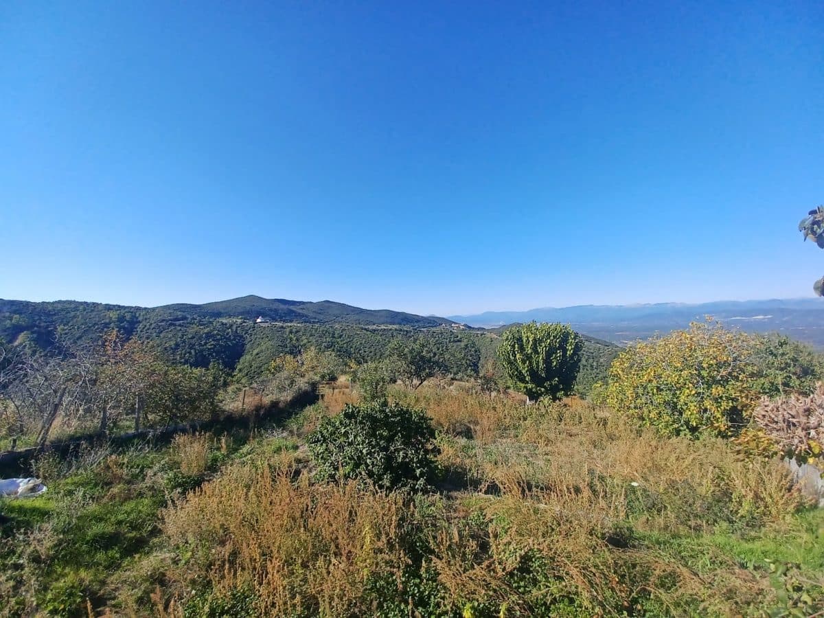 ypaithros e1679391258616 - Ποιά ωφέλη φέρνει το επιπλέον φως του θερινού ηλιοστασίου