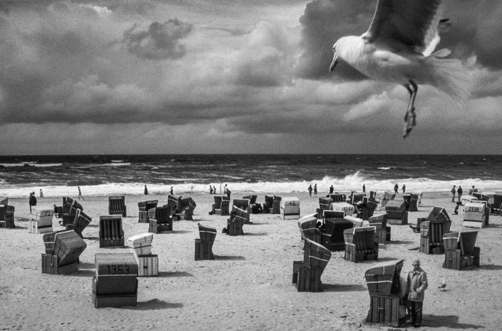 ΜΟΝΟΣ ΣΤΟ ΔΑΣΟΣ - Το ERTFLIX υποδέχεται το 25ο Φεστιβάλ Ντοκιμαντέρ Θεσσαλονίκης με 12 φιλμ και καθημερινή ανασκόπηση της διοργάνωσης - Digitaltvinfo.gr