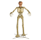 Ο σκελετός κολοκύθας Inferno 12 ποδιών στη βάση του