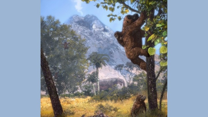 Έρευνα αναδεικνύει ότι οι πίθηκοι στάθηκαν όρθιοι για να πιάσουν φύλλα