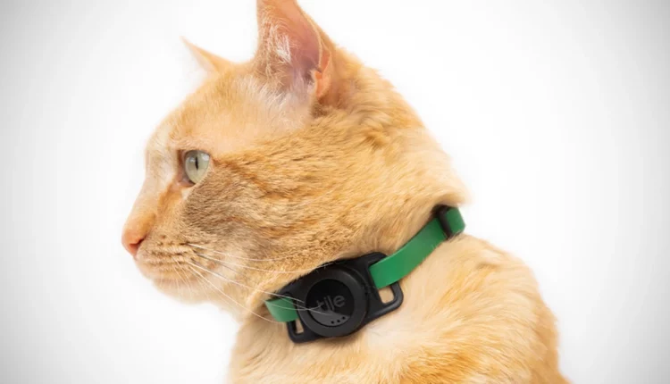 Η Tile παρουσίασε κολάρο εντοπισμού για γάτες (ΕΙΚΟΝΕΣ)