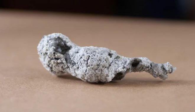 Κεραυνός έπεσε σε δέντρο και δημιουργήθηκε νέο ορυκτό