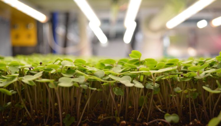 Προς τα πάνω και προς τα εμπρός | TechCrunch