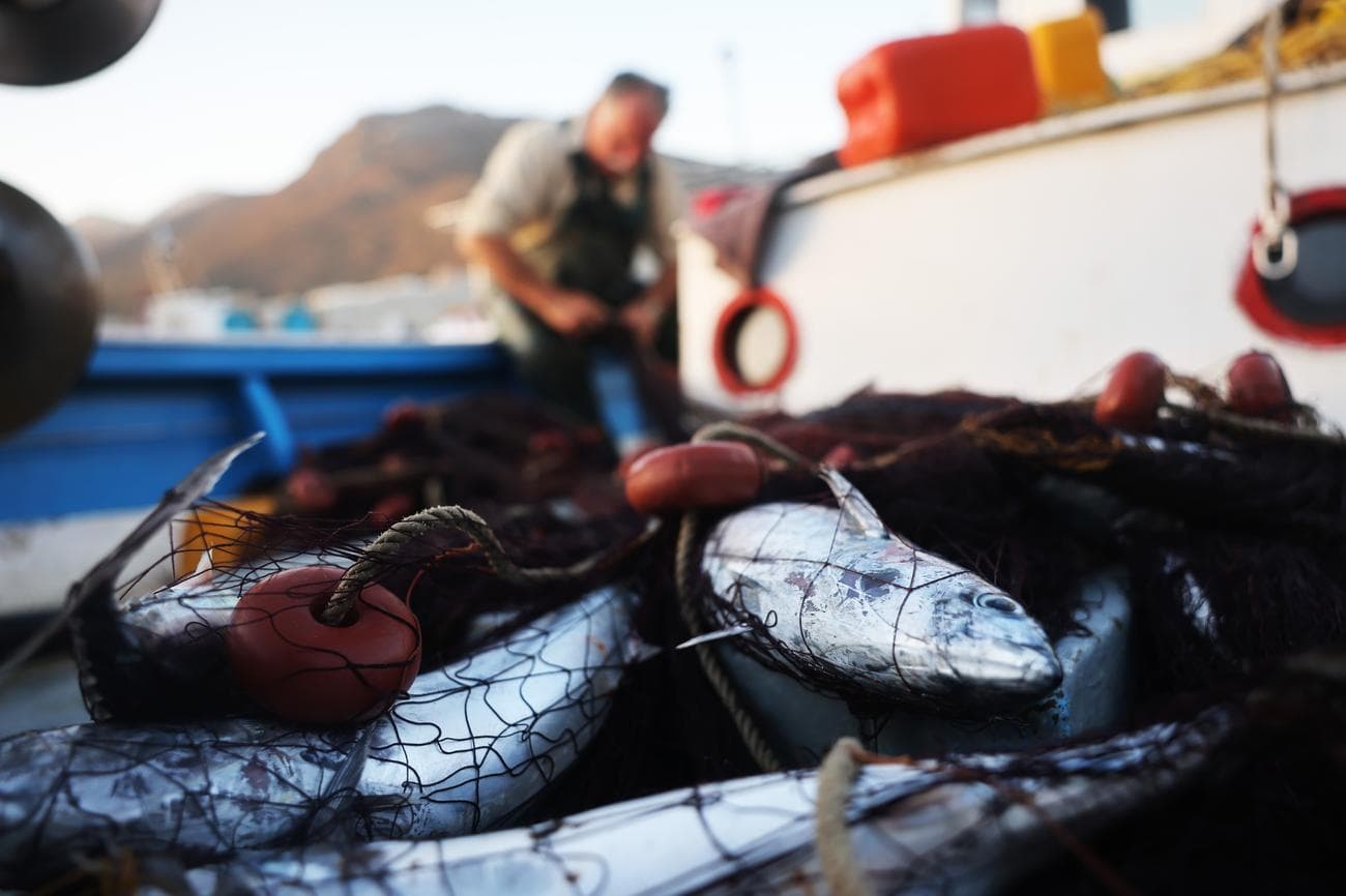 Αλιεία: Η Γιορτή του Ψαρά συναντά το ΑΜΟΡΓΟΡΑΜΑ, 9 και 10 Ιουνίου - «Για να μπορούν τα εγγόνια μας να έχουν ψάρια να φάνε»