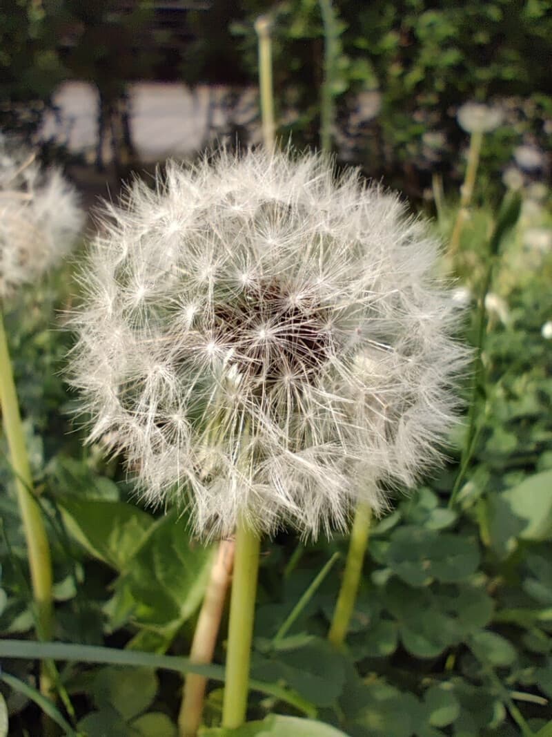 Κριτική Poco F5 - PhoneArena