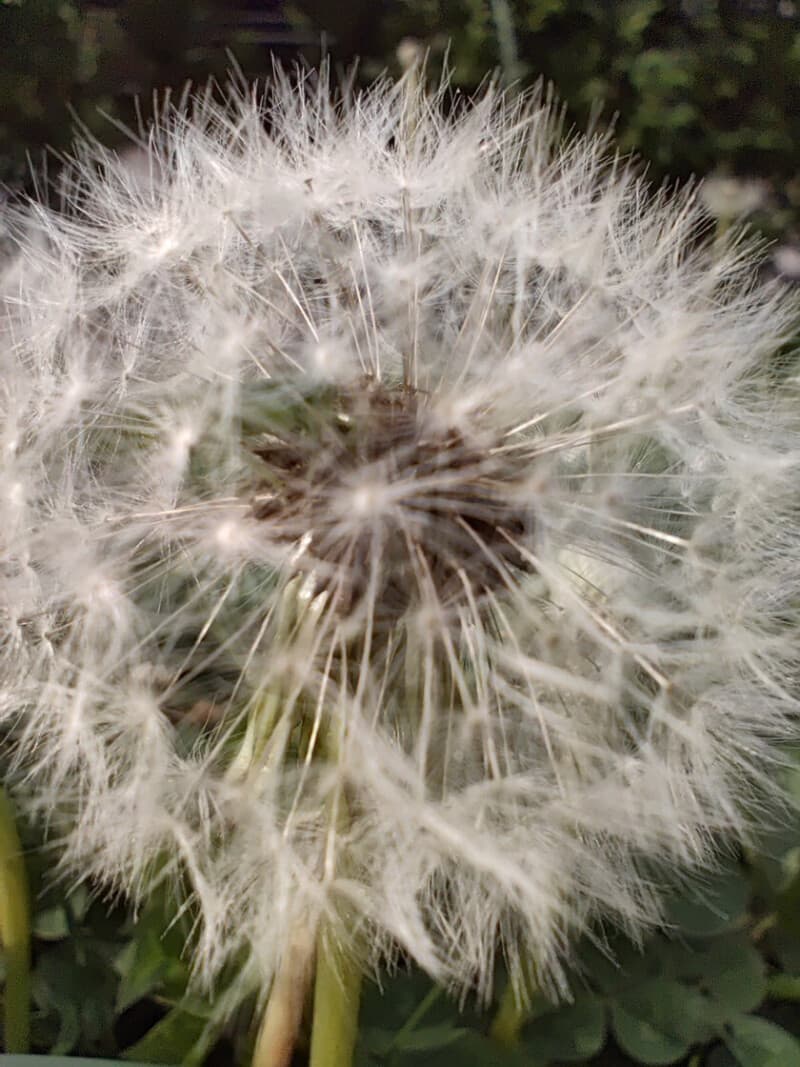 Κριτική Poco F5 - PhoneArena