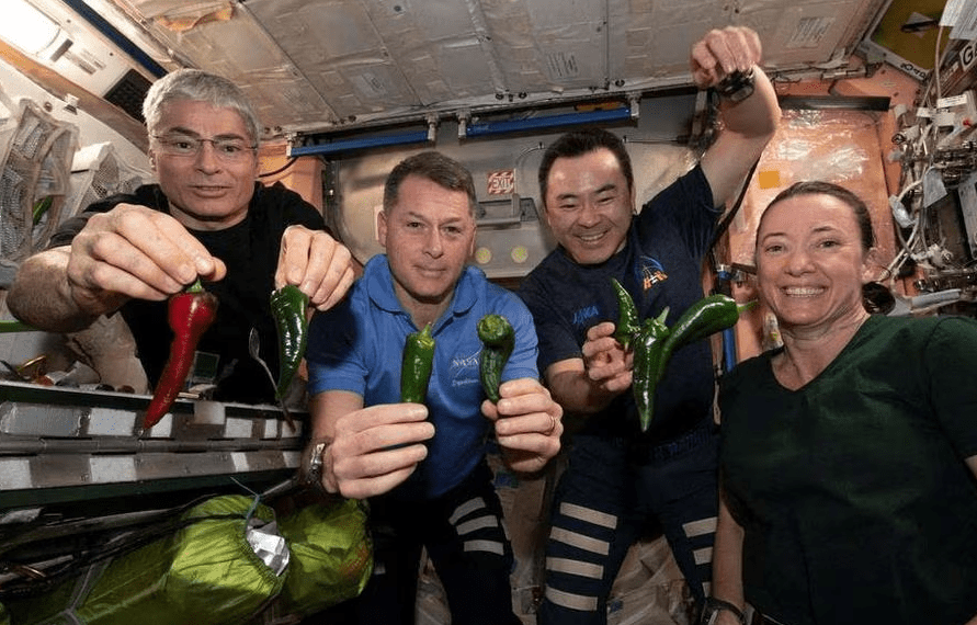 NASA: Διαστημική παραγωγή τροφίμων - Οικονομικός Ταχυδρόμος