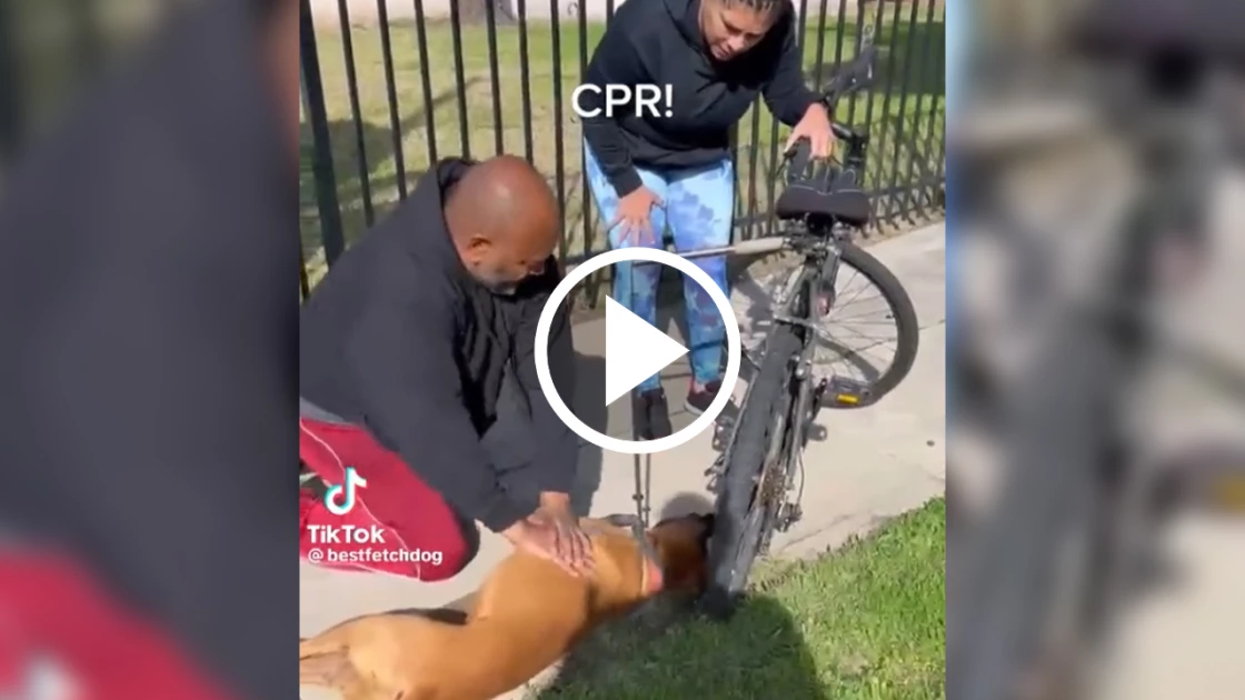 Viral Βίντεο: Άνδρας έσωσε τη ζωή σκύλου με CPR
