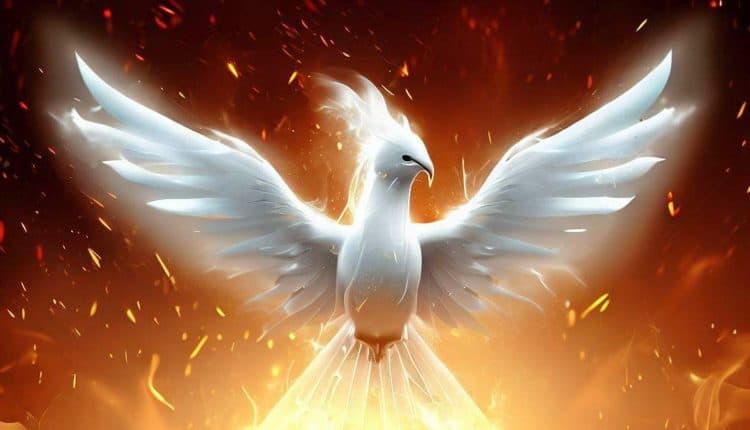 White phoenix