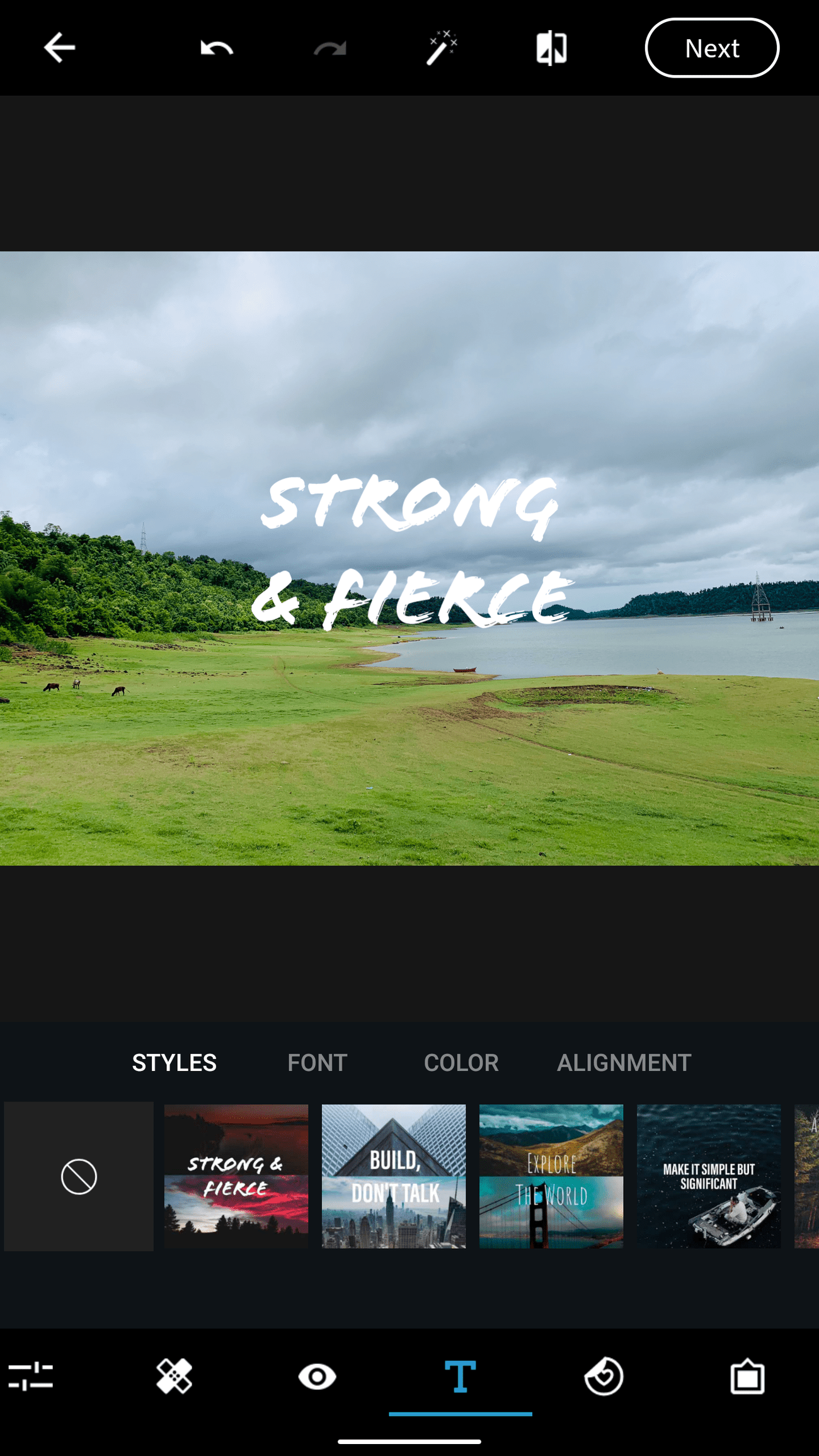 Ένα στιγμιότυπο οθόνης του Adobe Photoshop Express που δείχνει στυλ.