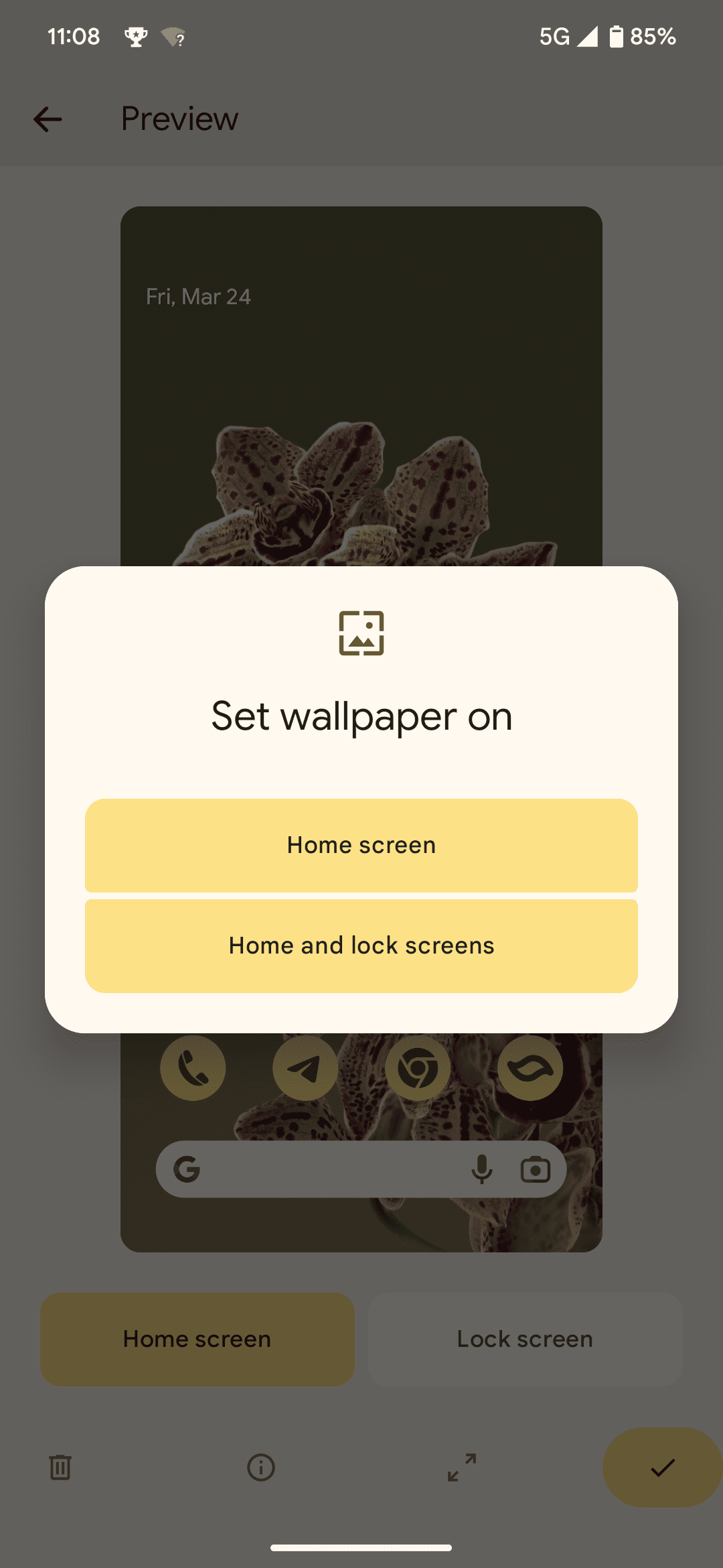 Android 13's wallpaper picker options for live wallpapers: Home screen or Home and lock screens only