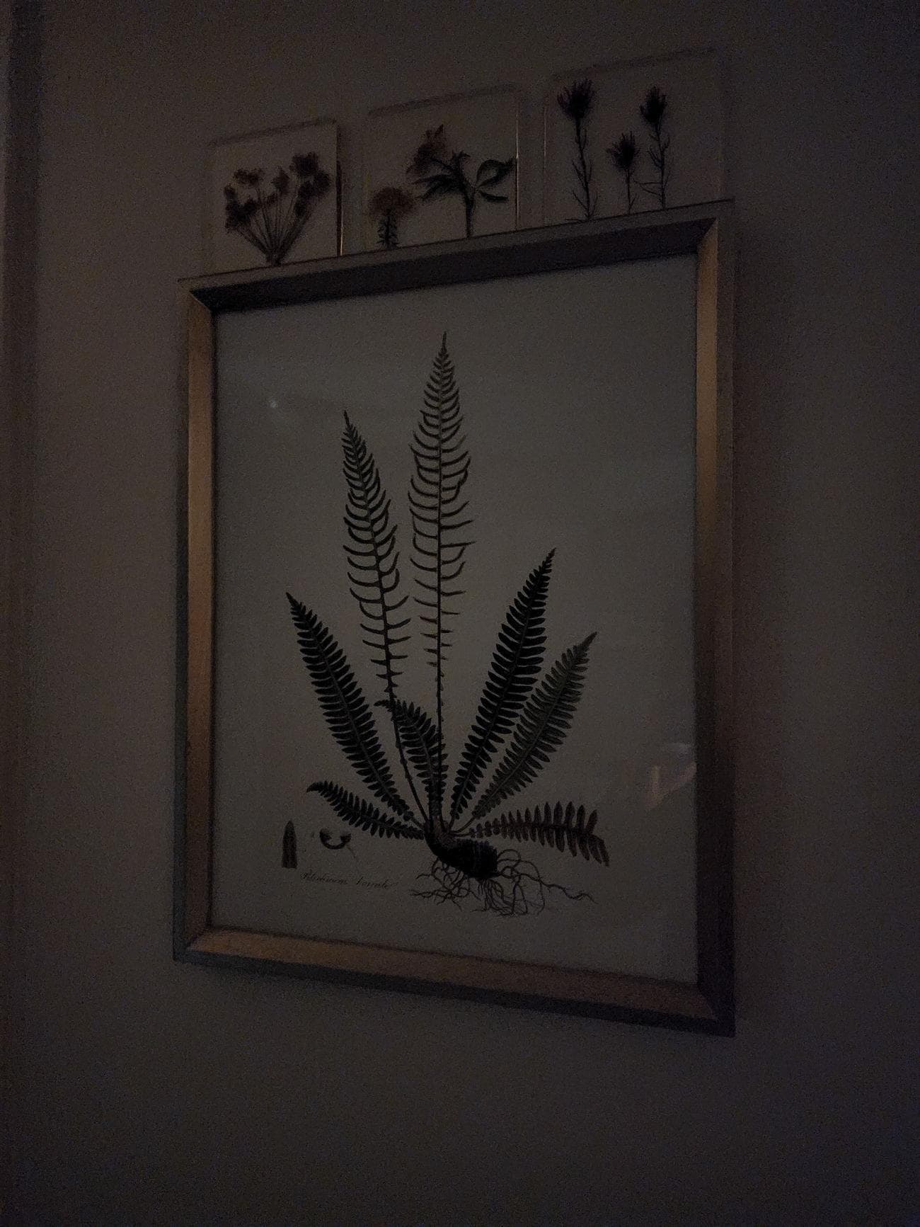 Μια σκοτεινή σκηνή βοτανικής τέχνης τοίχων που γυρίστηκε με pixel binning