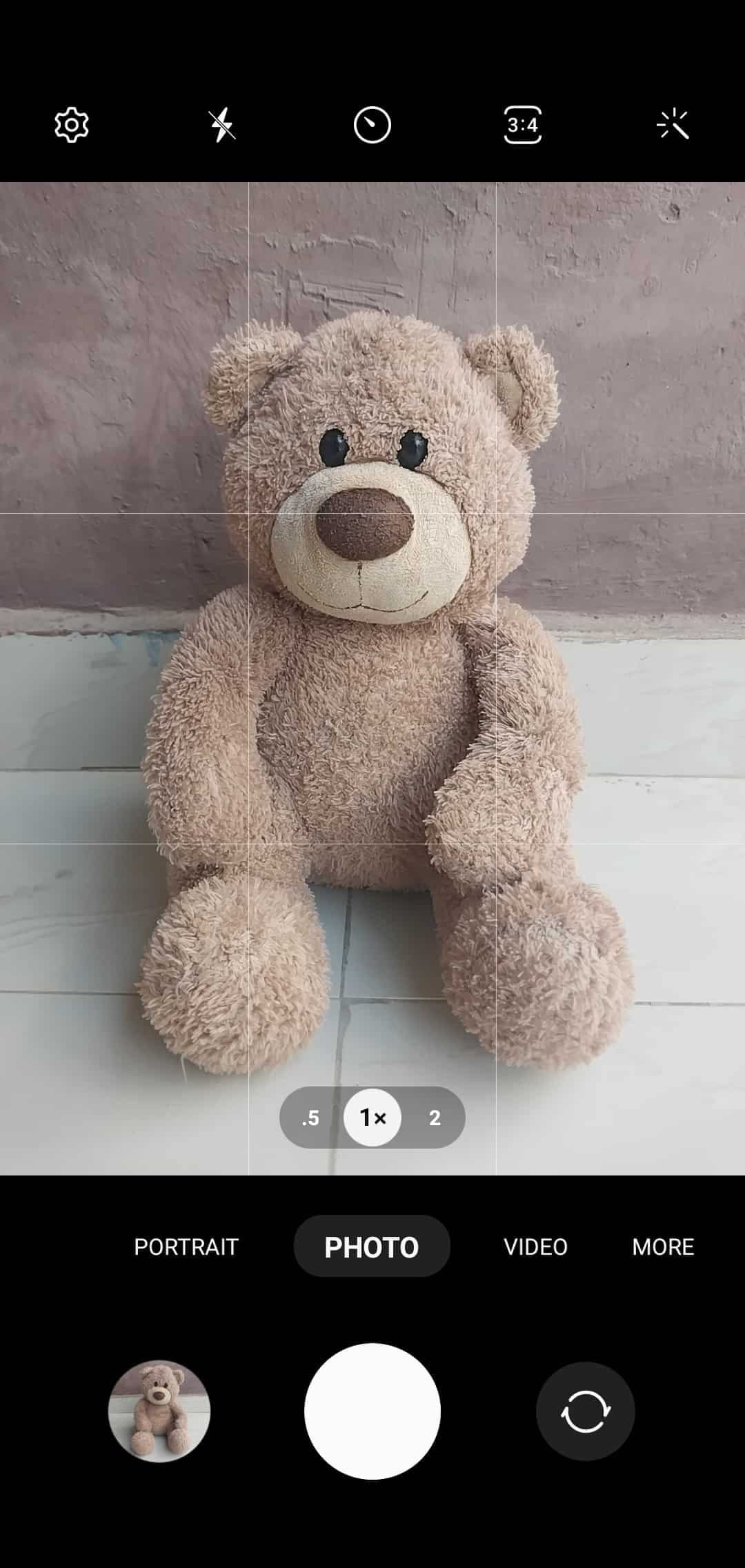 Στιγμιότυπο κάμερας μιας αρκούδας στο κέντρο των γραμμών πλέγματος κινητής κάμερας