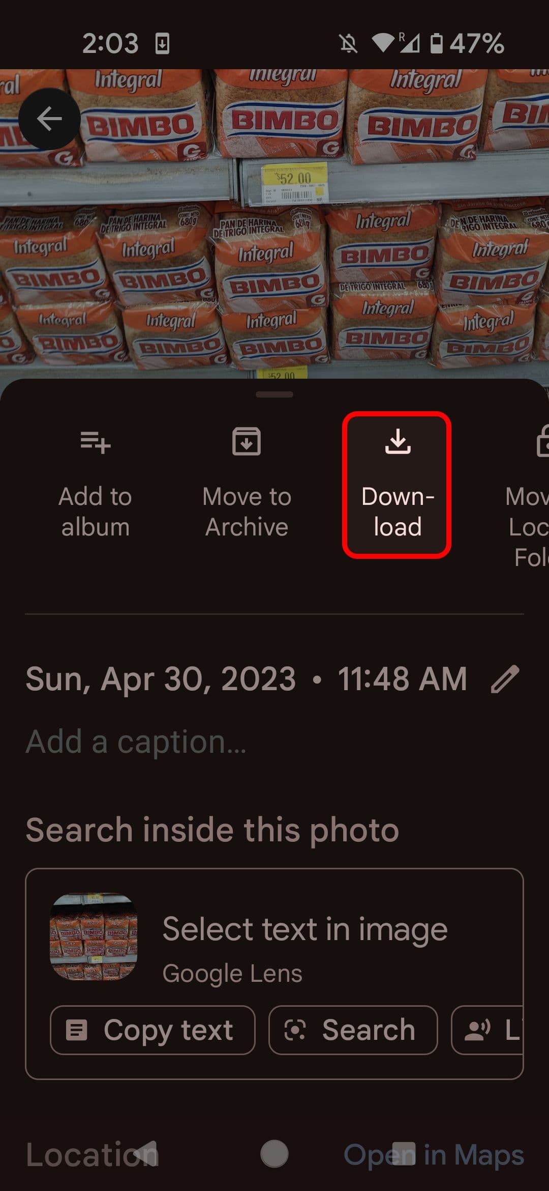 Google Photos image details highlighting the Download button