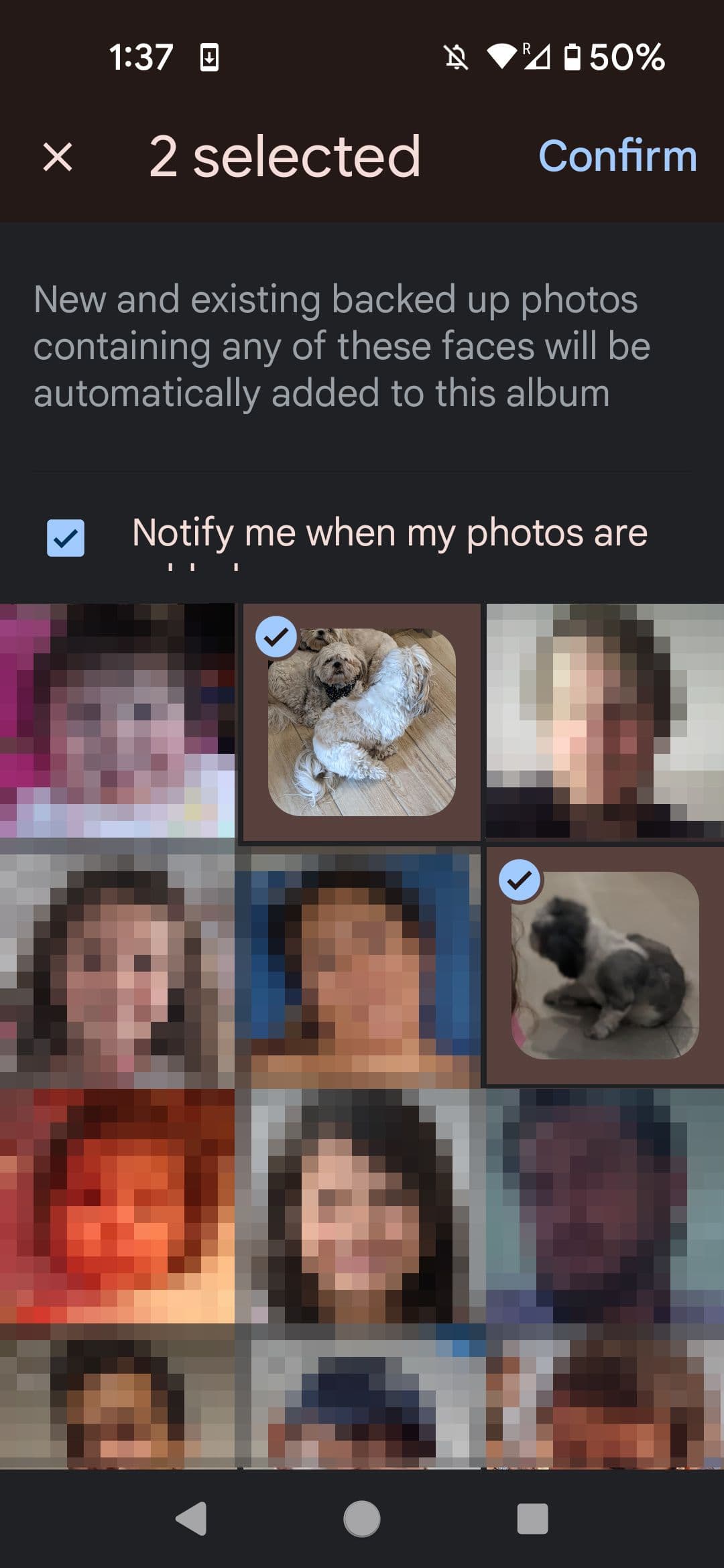Google Photos select people and pets for auto-update page