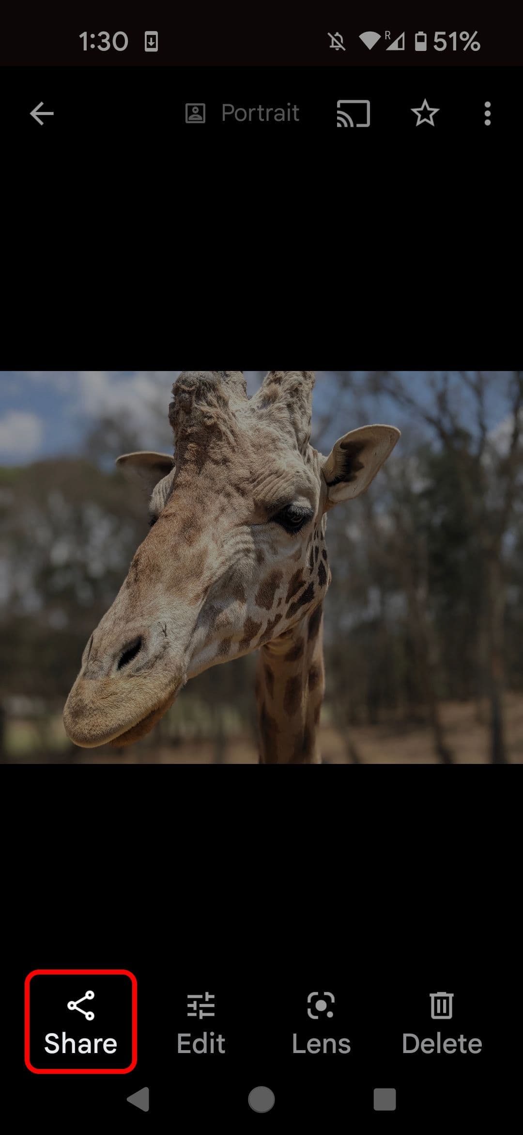 Google Photos image highlighting the Share option