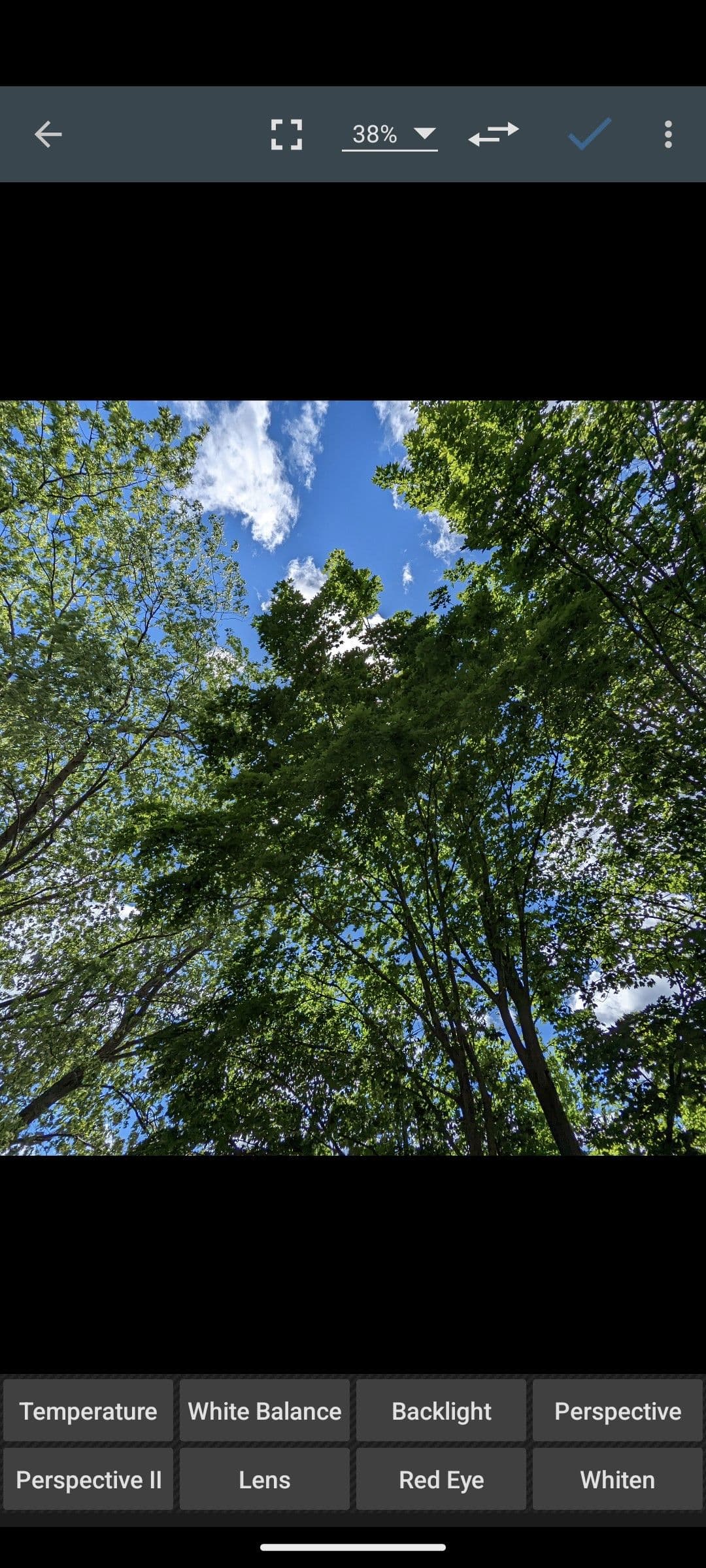 Ένα στιγμιότυπο οθόνης των εργαλείων διορθώσεων του Photo Editor.