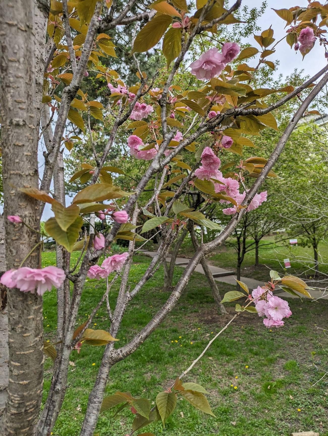 PXL_20230507_165813287