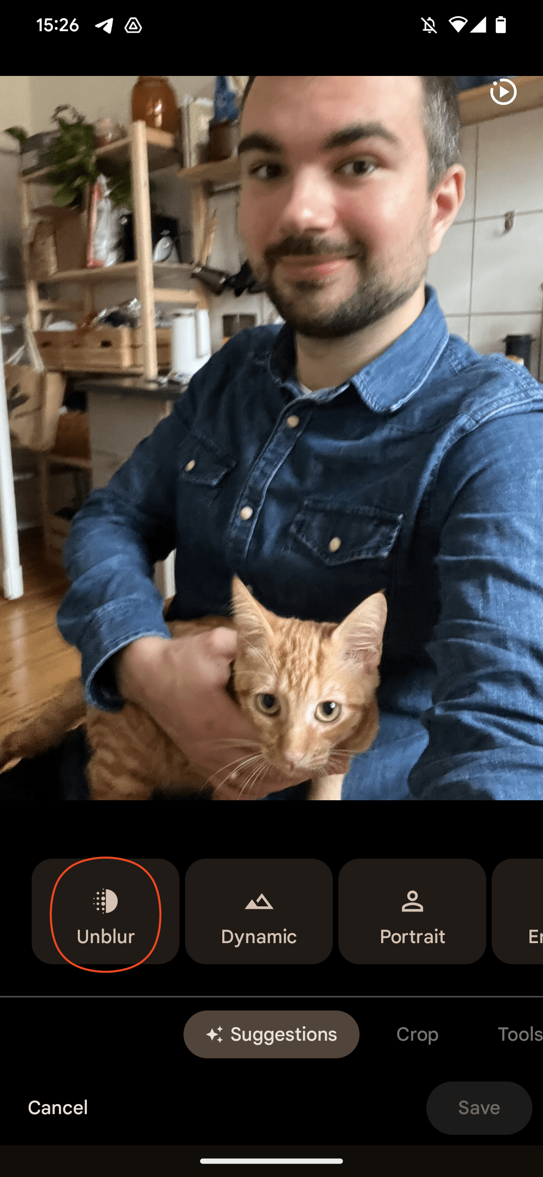 μυστηριώδης Γερμανός άνδρας με μπλε πουκάμισο που κρατά γάτα τζίντζερ