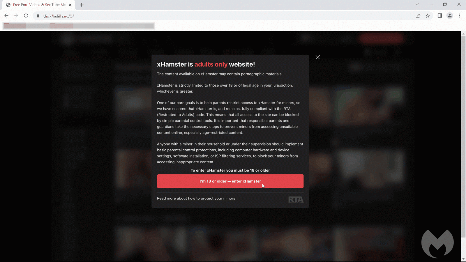 Ψεύτικη ενημέρωση των Windows