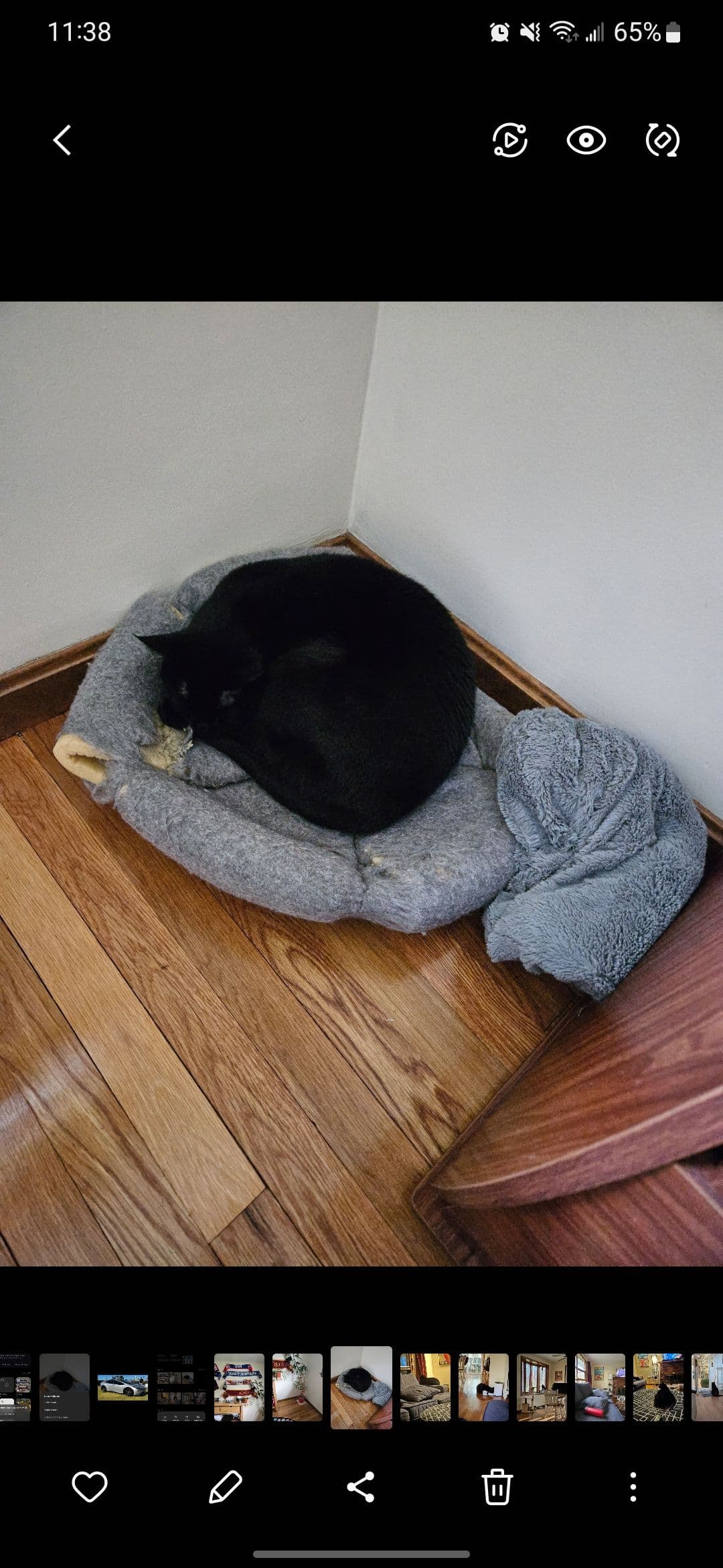 Viewing a photo in the Samsung Gallery app