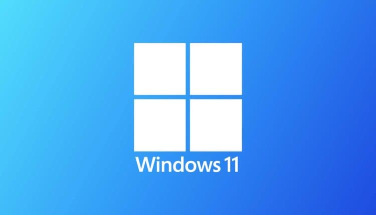 Windows 11