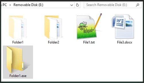 Το σκουλήκι σε μια μονάδα USB