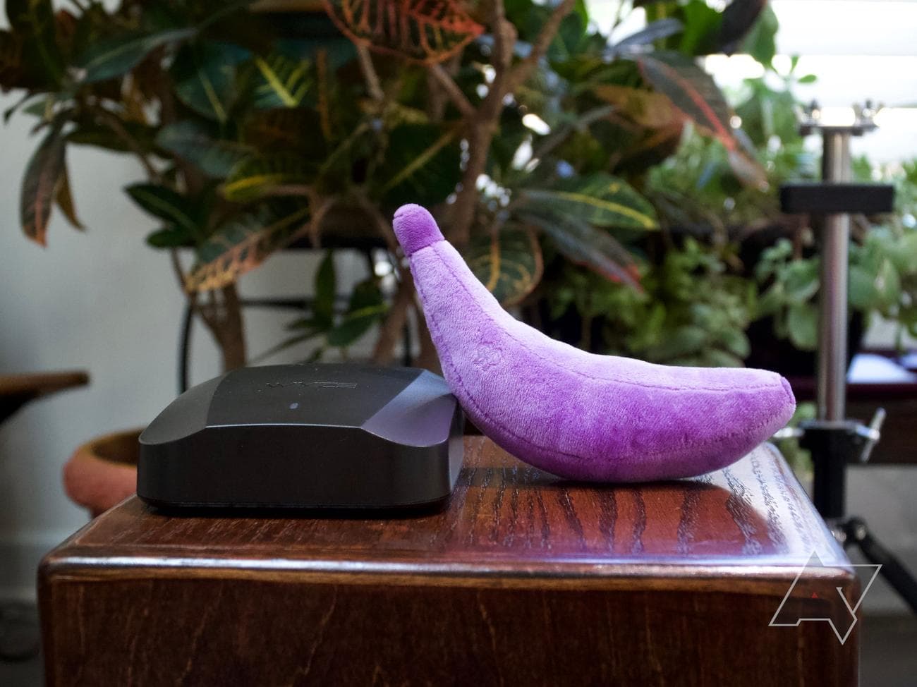 Wyze Mesh Router Pro with a purple banana for scale