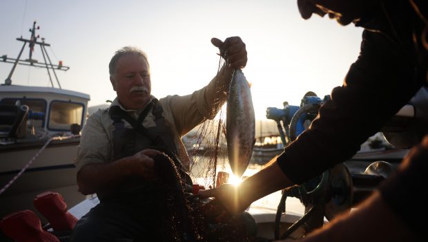 Αλιεία: Η Γιορτή του Ψαρά συναντά το ΑΜΟΡΓΟΡΑΜΑ, 9 και 10 Ιουνίου - «Για να μπορούν τα εγγόνια μας να έχουν ψάρια να φάνε»