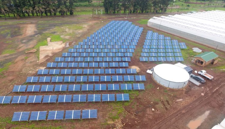 Από τον σπόρο στη Σειρά Α σε 7 μήνες: Γιατί και πώς η Odyssey Energy Solutions κινήθηκε γρήγορα
