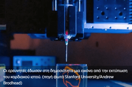 Δημιουργήθηκε ανθρώπινος καρδιακός ιστός με εκτυπωτές 3D (βίντεο)