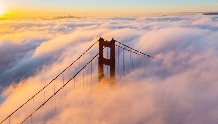 Ενημέρωση TechCrunch+: Έρευνα επενδυτών στη Νότια Κορέα, συνεδριάσεις του διοικητικού συμβουλίου διάρκειας 1 ώρας, βασικά στοιχεία του venture leasing
