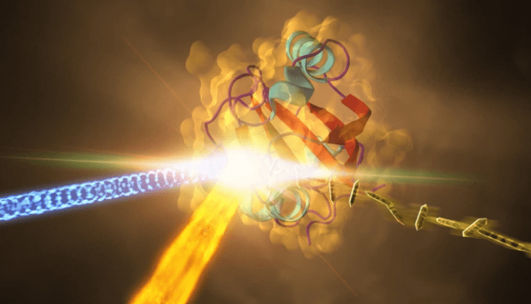 Επιστήμονες βρήκαν το τελευταίο στάδιο της φωτοσύνθεσης που μας διέφευγε