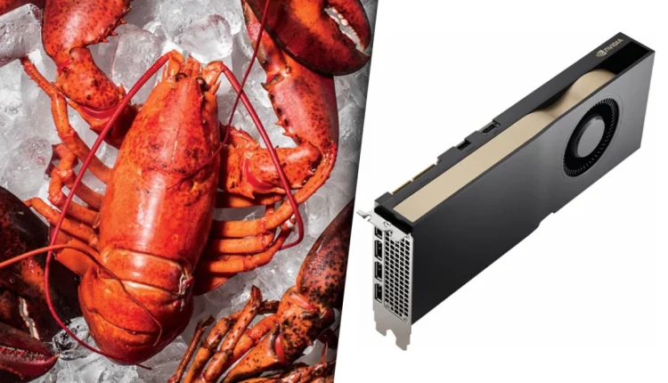 Λαθρέμπορες στην Κίνα έκρυψαν κάρτες γραφικών σε φορτηγό με ζωντανούς αστακούς!