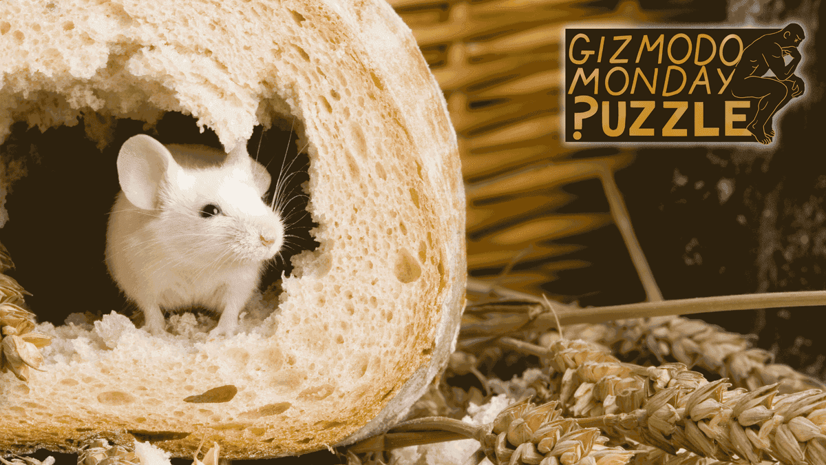 Μπορείτε να ξεπεράσετε ένα ποντίκι;
