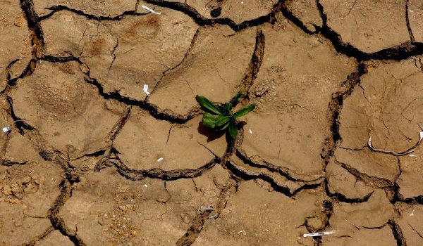 Ξήρανση: Ποιες ελληνικές λίμνες βρίσκονται «στο κόκκινο»