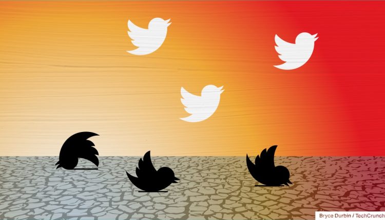 Ο Έλον Μασκ λέει ότι το Twitter καθαρίζει παλιούς λογαριασμούς, ελευθερώνοντας τα επιθυμητά ονόματα χρήστη
