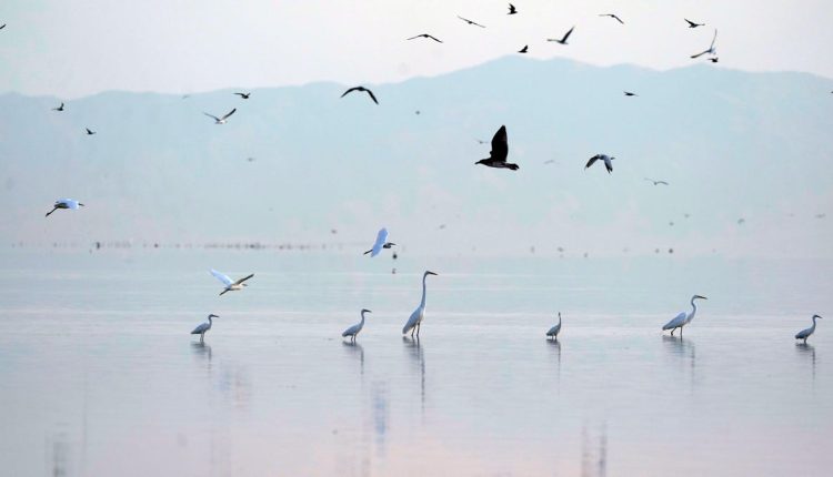Οι λίμνες του κόσμου συρρικνώνονται
