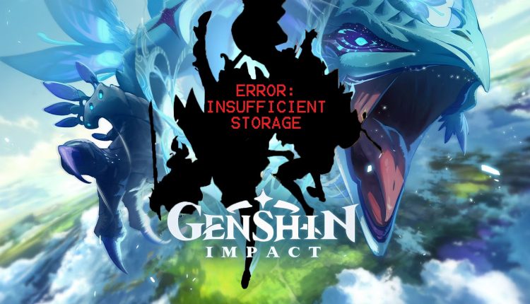 genshin-impact-storage-space