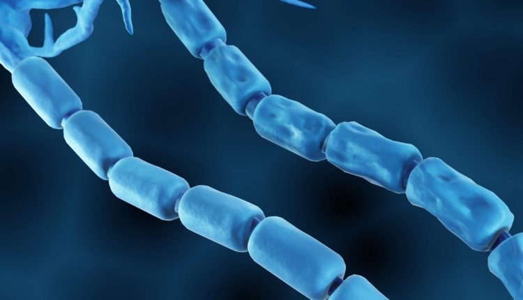 Πώς ο ιός Epstein-Barr μπορεί να προκαλέσει σκλήρυνση κατά πλάκας
