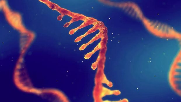 Τεχνητή νοημοσύνη σχεδιάζει καλύτερα εμβόλια mRNA